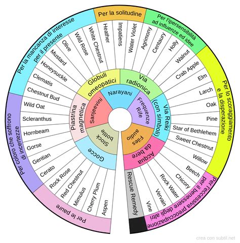 Schema dei 7 gruppi emotivi dei Fiori di Bach