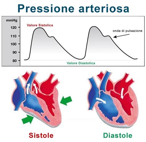 Grafico che mostra le variazioni della pressione sanguigna