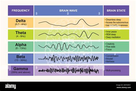 Diagramma degli stati cerebrali: Beta, Alfa, Theta, Delta