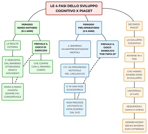 Infografica che mostra le tappe dello sviluppo cognitivo secondo Piaget