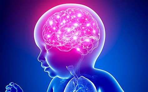 Diagramma che illustra la rete di servizi per la neuropsichiatria infantile
