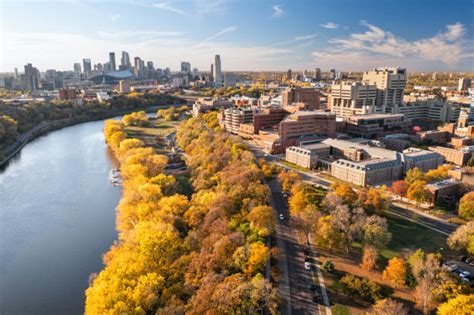 Università del Minnesota