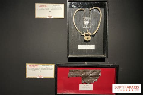 Collezione di oggetti legati a serial killer famosi