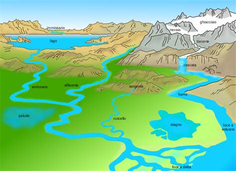 Illustrazione di un fiume con diversi affluenti