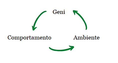 Diagramma che illustra l'interazione tra geni e ambiente nella schizofrenia