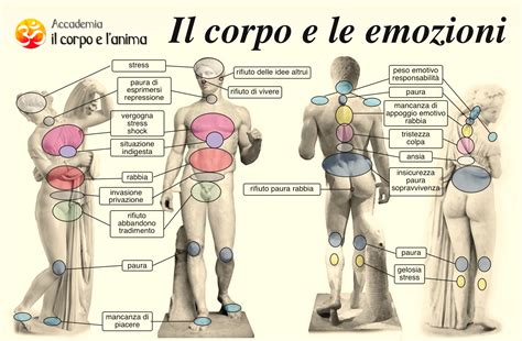 Schema che illustra la connessione tra cervello, corpo ed emozioni