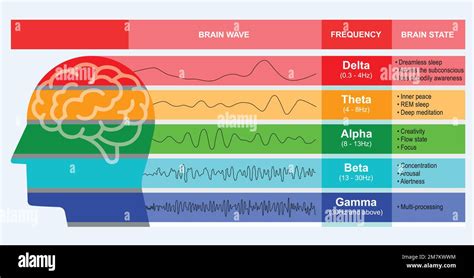 Simbolo di un cervello con onde emotive contrastanti