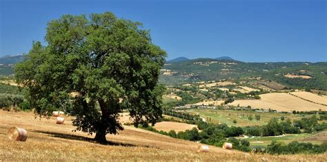 Paesaggio minerario della Maremma
