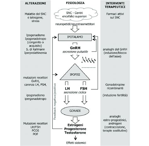 Schematizzazione dei tre lati del benessere felino