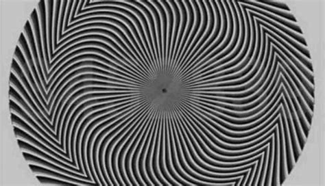 Esempio di illusione ottica della Gestalt