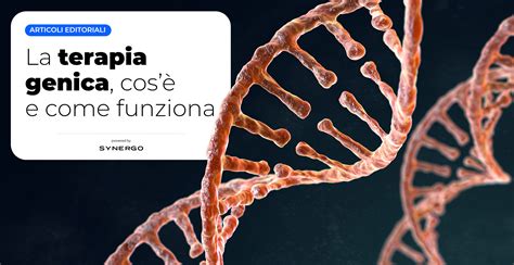 Diagramma semplificato che illustra il processo della terapia genica per la Sindrome di Wiskott-Aldrich.