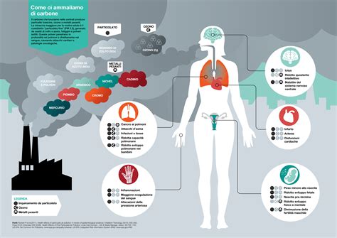 Infografica sugli effetti delle sostanze nootrope