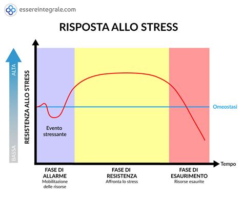 Schema del ciclo dello stress minoritario