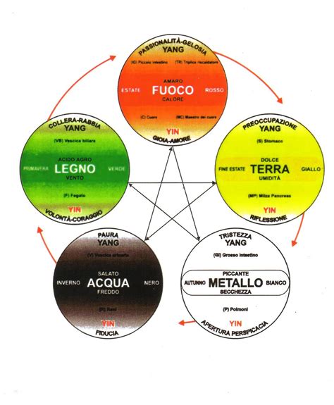 Diagramma che illustra il modello dei 5 elementi