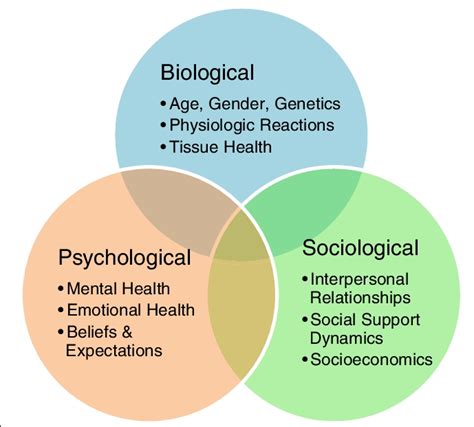 Infografica che mostra i diversi livelli di influenza nel modello biopsicosociale (individuo, famiglia, comunità, società).