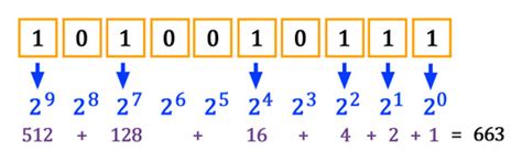 Rappresentazione decimale e binaria di un numero