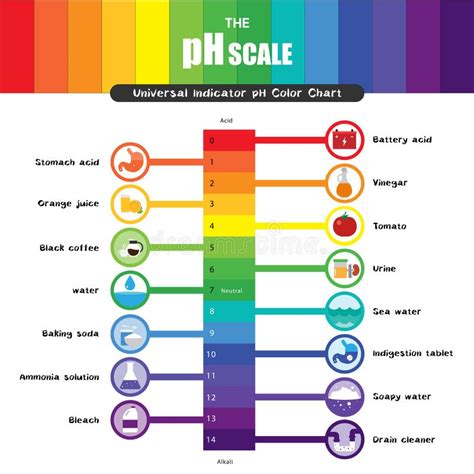 Diagramma del pH vaginale